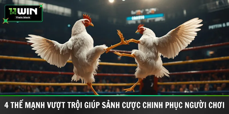 4 thế mạnh vượt trội giúp sảnh cược chinh phục người chơi