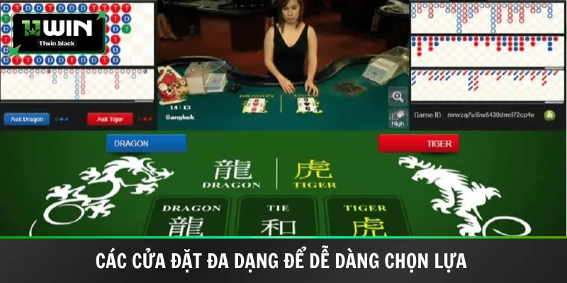 Các cửa đặt đa dạng để dễ dàng chọn lựa