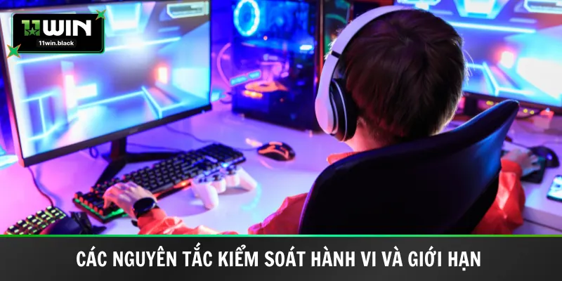 Các nguyên tắc kiểm soát hành vi và giới hạn