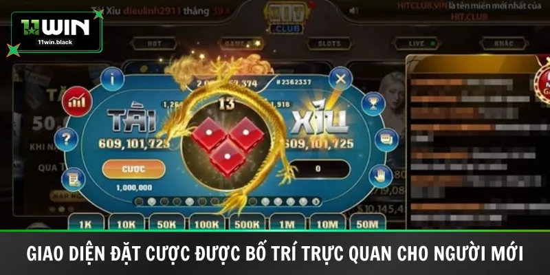 Giao diện đặt cược được bố trí trực quan cho người mới