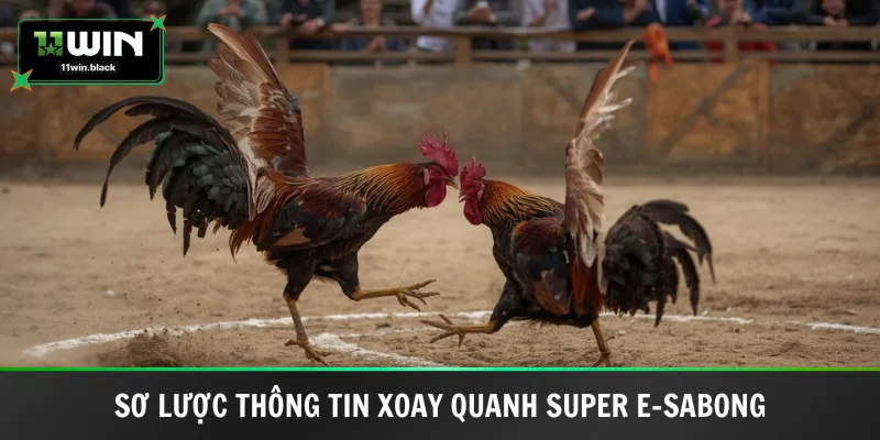 Sơ lược thông tin xoay quanh Super E-Sabong